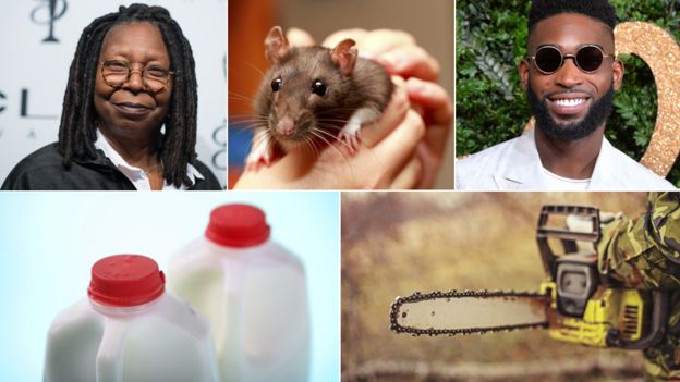(clockwise from top left): Whoopi Goldberg; rat in someone's hands; Tinie Tempah; chainsaw; two bottles of skimmed milk
