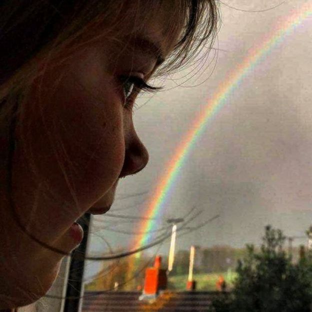 Bo looking at a rainbow