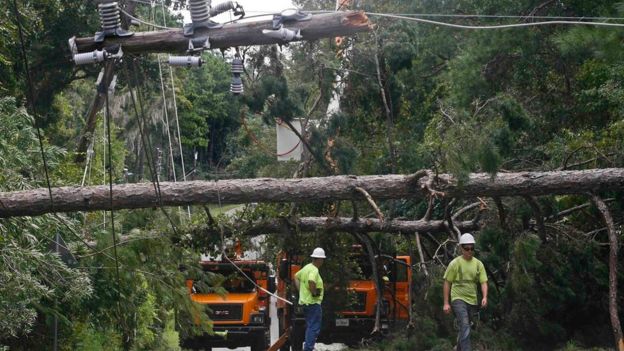 Workers remove downed trees during cleanup operations in the aftermath of Hurricane Hermine in Tallahassee, Florida 2 September 2016.