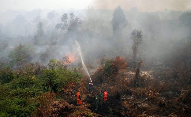 Emergency workers spray a large area of burning forest