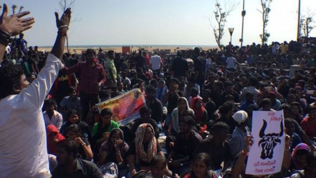 மூன்றவது நாளாக சென்னையில் போராட்டம் தொடர்கிறது