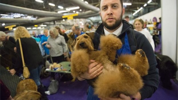 A man carries his dog through the grooming area on the second day of the 140th annual Westminster Kennel Club dog show on 16 February 2016 in New York City
