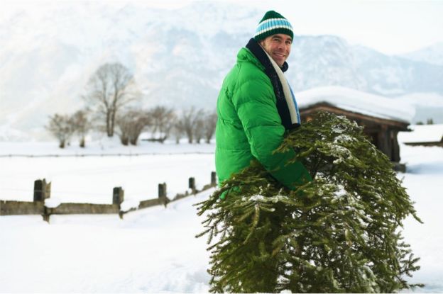 Man carrying a real Christmas tree in the snow