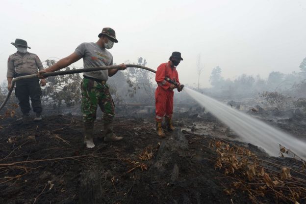 Indonesian firemen put out a fire on peatland in Rimbo Panjang, Riau province on 15 September 2015