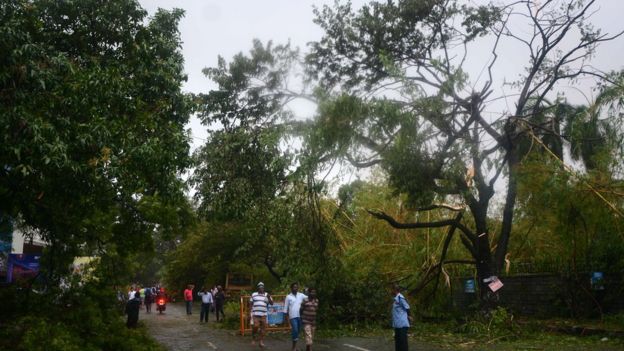வர்தா புயலால் ஆயிரக்கணக்கில் மரங்கள் சாய்ந்தன