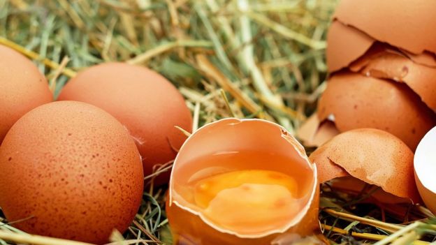 Huevos y cáscaras