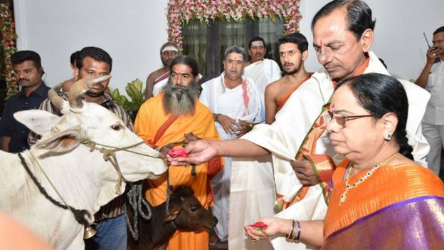 மாட்டுக்கு மரியாதை