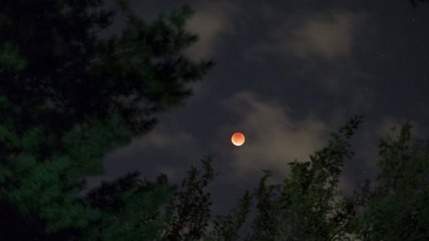 A supermoon rises above trees in Riverside, Connecticut