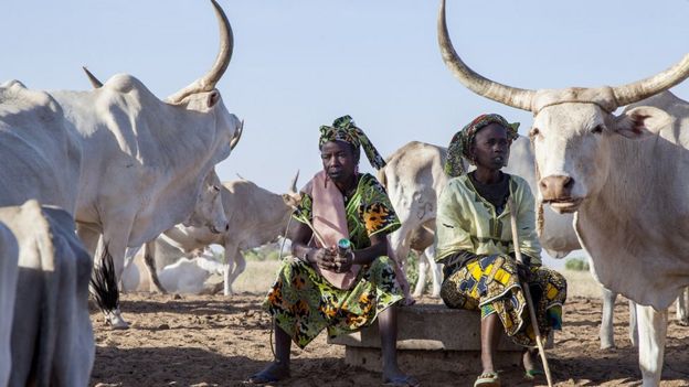 _86638097_10-women-waitingat-borehole.jpg