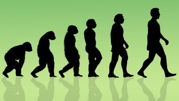 Evolução humana