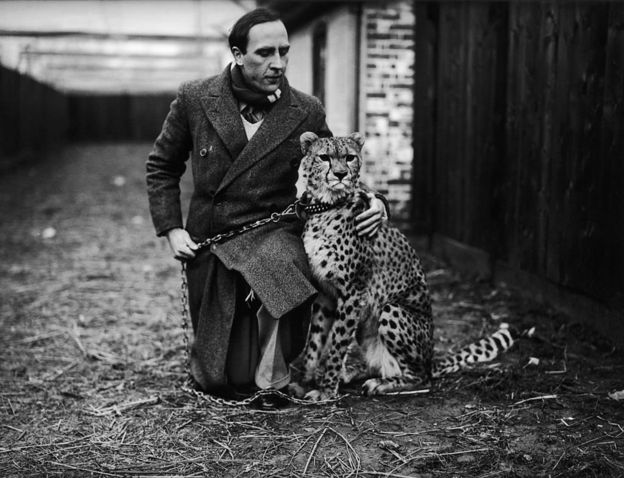 Gepard