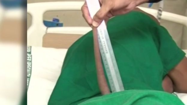 வால் நீளம்