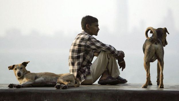 A migrant Indian labourer sits with a pair of dogs on a promenade on Marine Drive in Mumbai 08 January 2007.