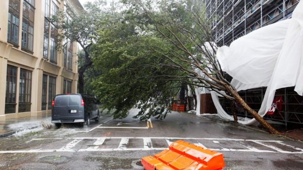A van squeezes past a partially fallen tree on Meeting Street as Hurricane Matthew hits Charleston, South Carolina