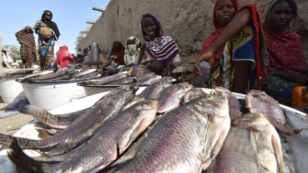 Vendors selling fish in Baga Sola in Chad pictured in January 2015
