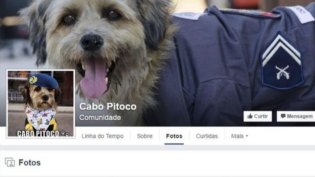 Página do cachorro Cabo Pitoco no Facebook tem mais de 110 mil seguidores