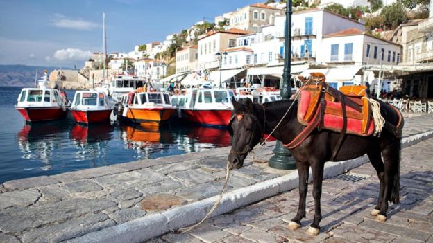 Besides your own two feet, horses and mules are the de facto transport on the Greek isle of Hydra, where cars and motorcycles are prohibited.