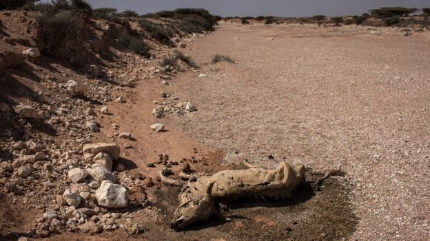 المجاعة في الصومال