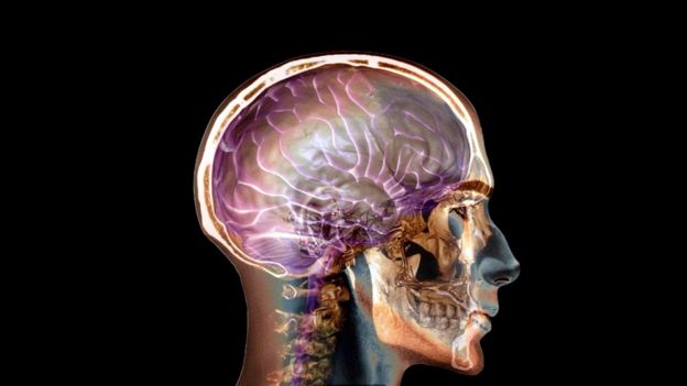 Рост уровня IQ оказался слишком быстрым, чтобы списать его на генетические изменения - так что же произошло?