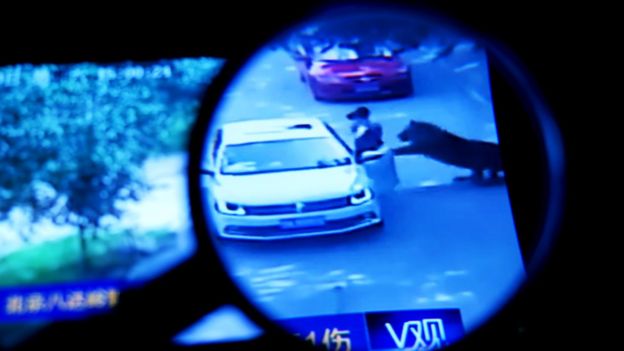 中國央視在微博上發佈的八達嶺老虎殺人事件監控視頻