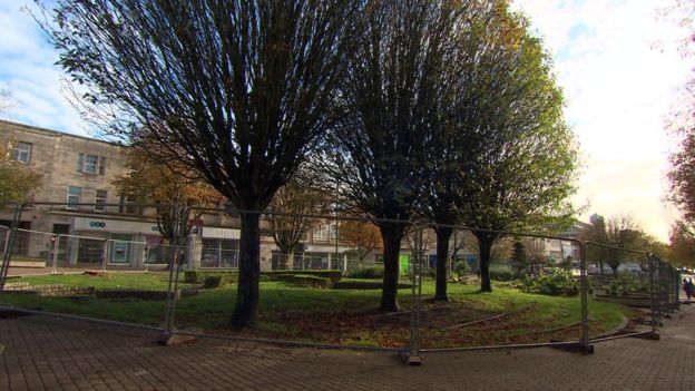 Armada Way Revamp Row Over Plymouth City Centre Tree Felling Plans