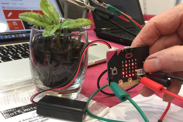 Micro bit conectada a una planta