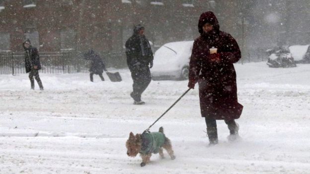 A woman walks her dog, along side other pedestrians through the snow on the Lower East Side of Manhattan during a large winter storm in New York, New York, USA, 23 January 2016