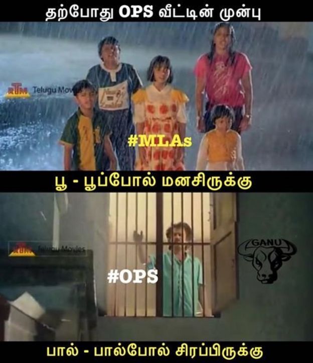 சமூக ஊடகங்களில் வலம் வரும் மீம்கள்