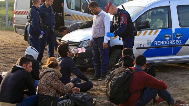 Hungarian police and migrants at the border with Serbia, 15 September 2015