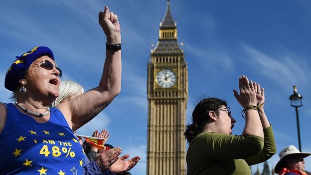 Pro-EU protesters