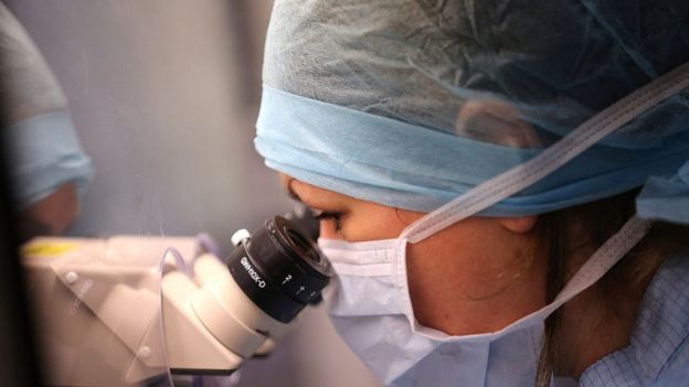 نوع من الفيروسات يقضي على البكتريا الضارة