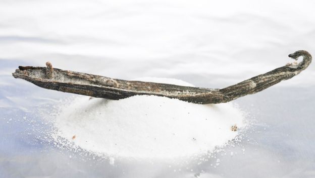 Vanilla pod on top of sugar