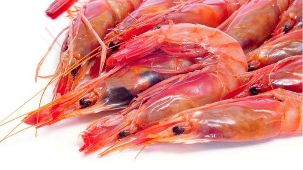 Camarones