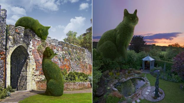 Topiary cats