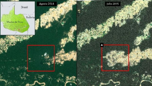 Imágenes satelitales de al pérdida de selva en la región Madre de Dios.