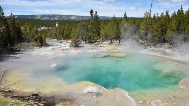 யெல்லோ ஸ்டோன் தேசிய இயற்கை பூங்கா