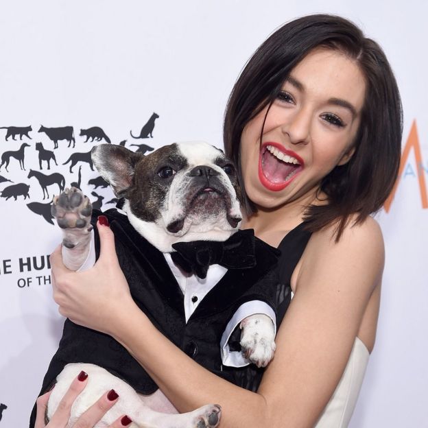 Ms Grimmie with a dog named Baxter in New York City - November 2015