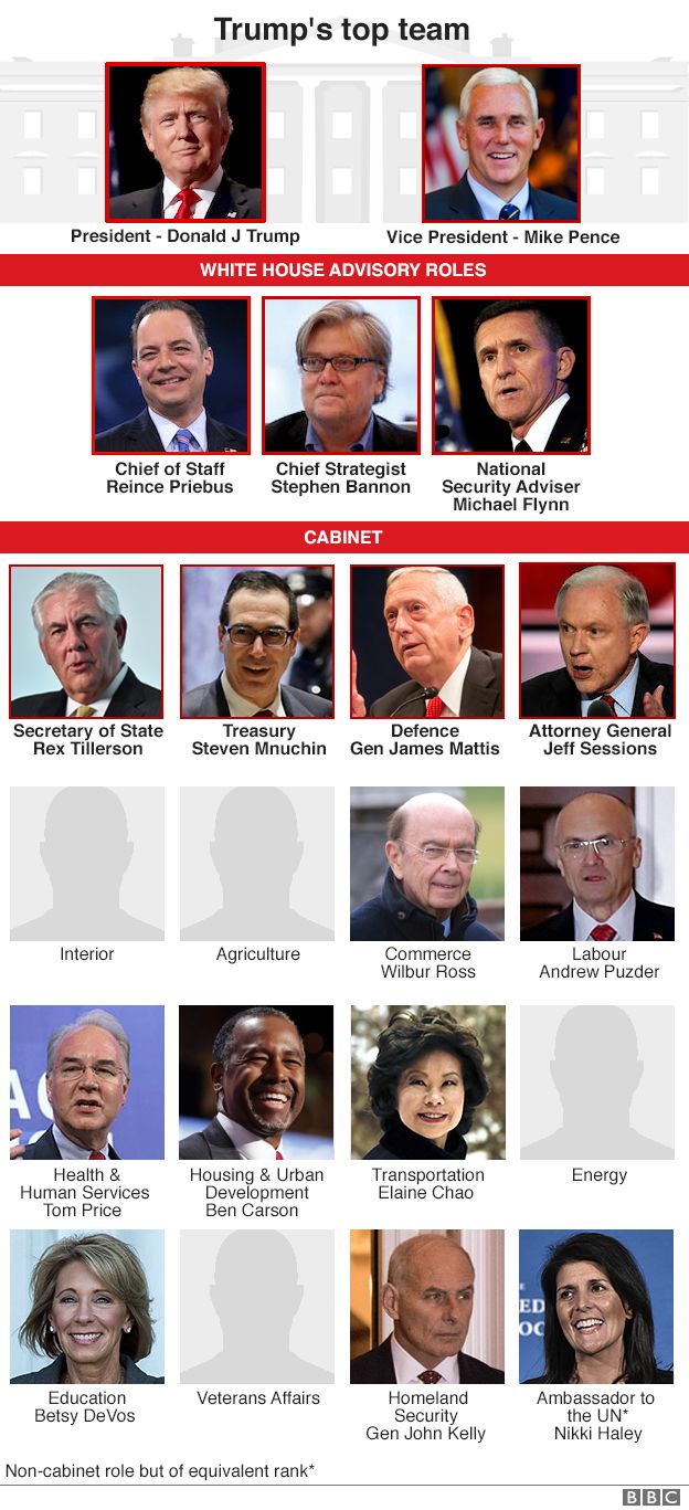 A graphic showing the make-up of Donald Trump's cabinet