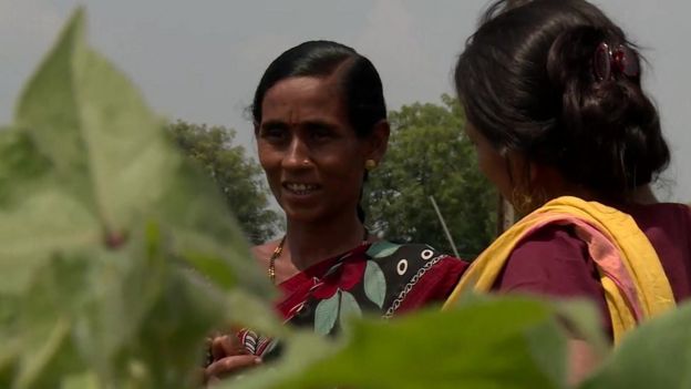 Vaishali on her farm
