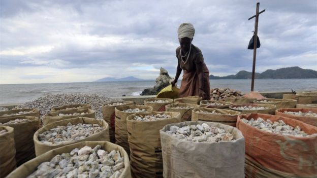 Seorang perempuan mengumpulkan batu koral di Pantai Bidau Santana, Dili, untuk dijual. Pengamat mengatakan tantangan bagi pemerintahan selanjutnya adalah bagaimana mereka mendiversifikasi sumber penghasilan non-migas, termasuk pertanian dan manufaktur.