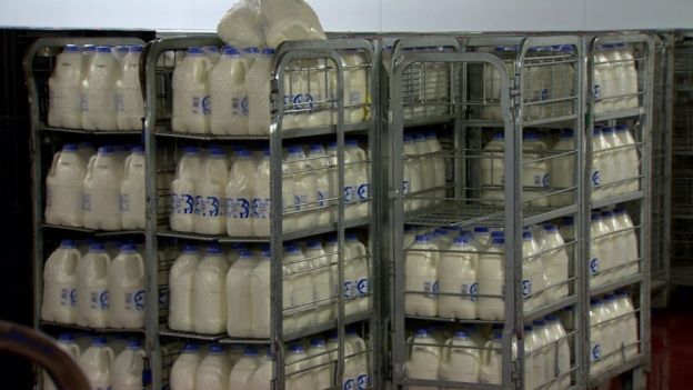 A stock of bottled milk in a dairy factory