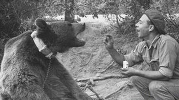 Wojtek and soldier. Photo courtesy of The Polish Institute and Sikorski Museum