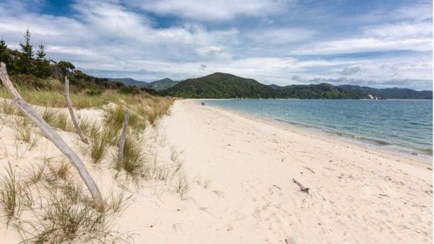 Imagem da areia da praia de Awaroa, feita em fevereiro de 2016