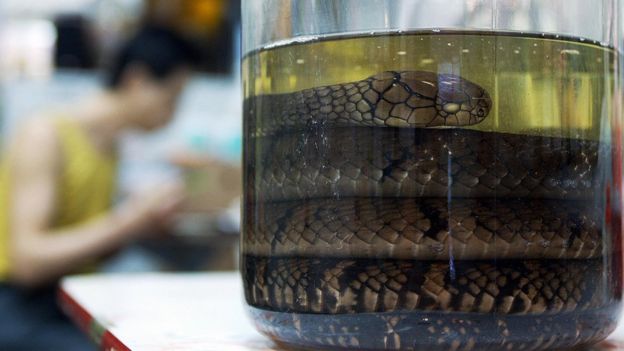 Vino de serpiente en China