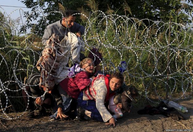 Syrian migrants try to enter Hungary at the border with Serbia