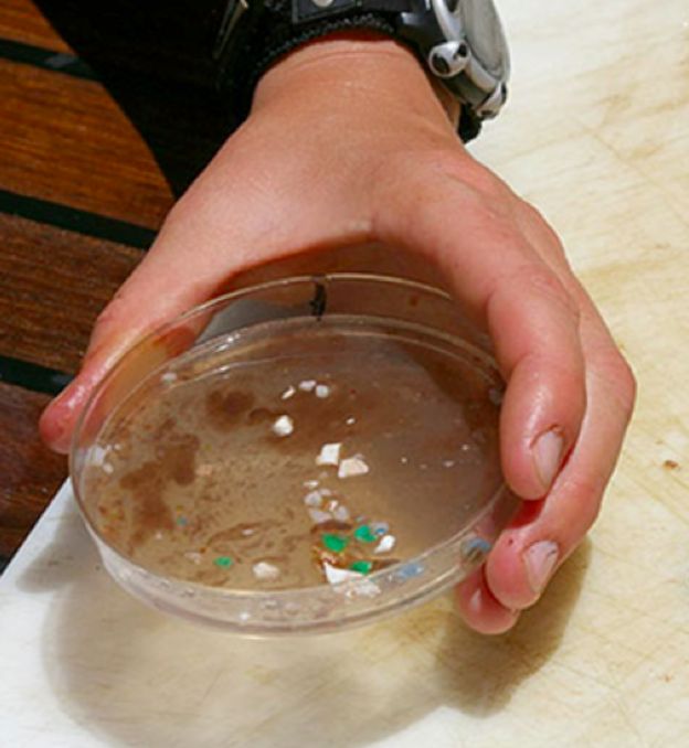Imagem mostra mão segurando recipiente com amostra de microplásticos