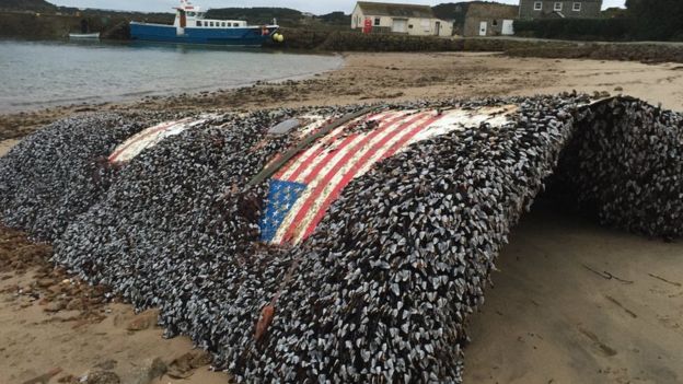 http://ichef.bbci.co.uk/news/624/cpsprodpb/5172/production/_86905802_rocketttrescoisland.jpg