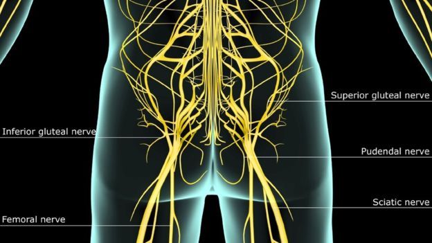 Apa Yang Terjadi Pada Orgasme Perempuan Inilah Penjelasan Dokter BBC