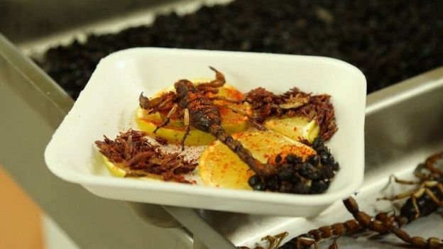Prato com escorpião frito