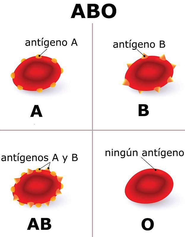 gráfico de antígenos